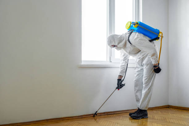 Pest Control for Restaurants in Walton Hills, OH